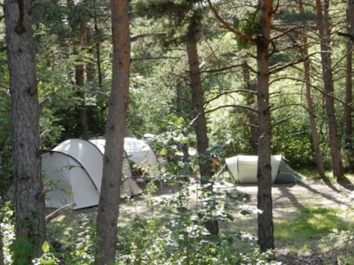 Pitch XL (+200m²) + Car