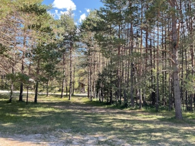 Lodge Tent - Glamping Holiday
