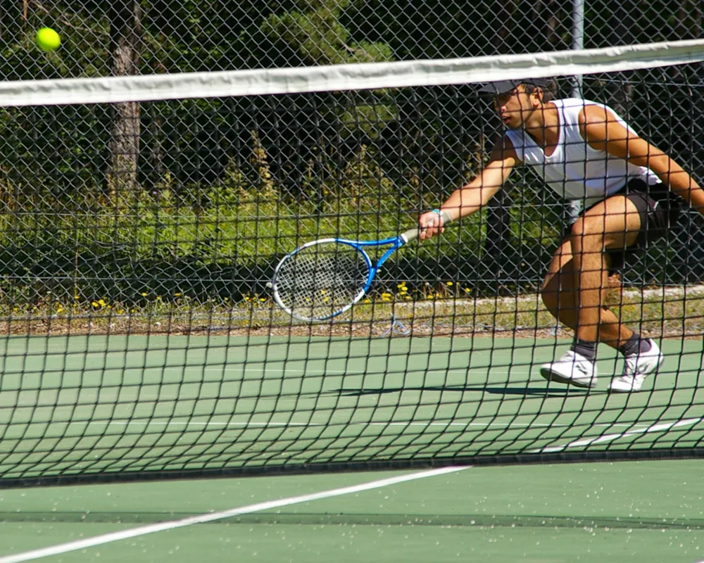 LE PARC DES SERIGONS - image n°53 - UniversalBooking