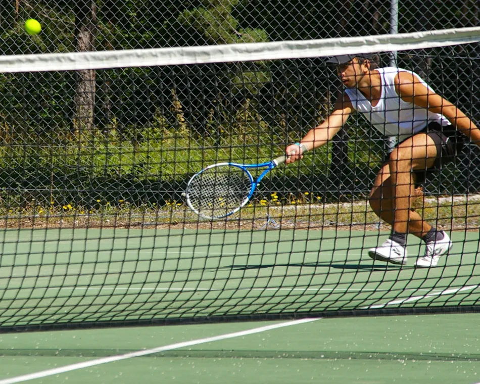 LE PARC DES SERIGONS