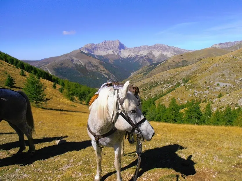 LE PARC DES SERIGONS