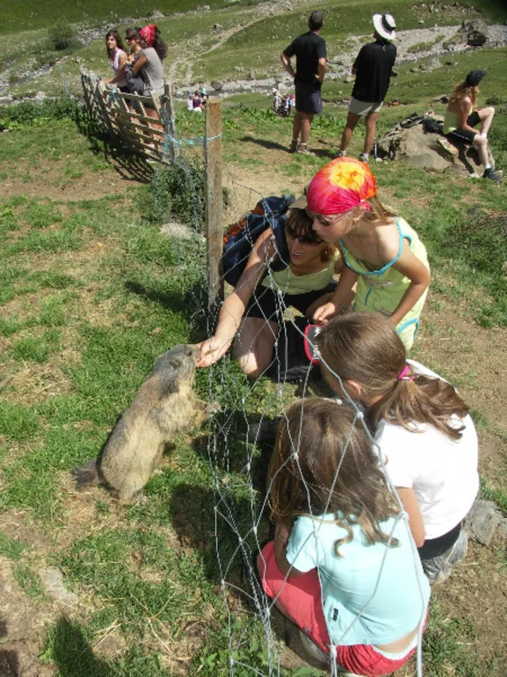 LE PARC DES SERIGONS - image n°73 - UniversalBooking