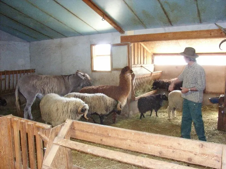 LE PARC DES SERIGONS - image n°92 - UniversalBooking