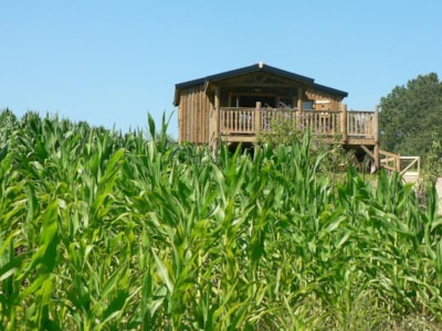 Wooden cabin Trappeur