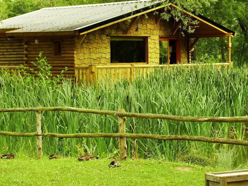 Cabane Du Grizzli (Lit Rond, Douche Italienne)