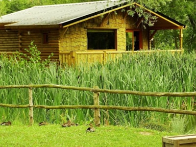 Cabane GRIZZLI