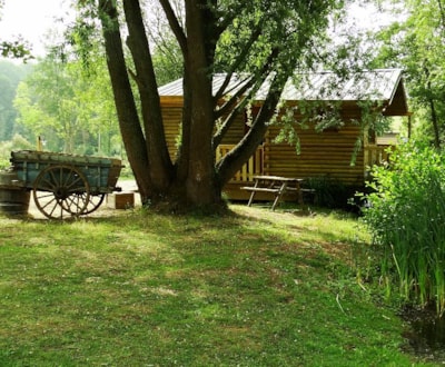 Cabane GRIZZLI