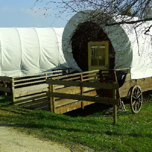 Chariot De Pionnier, Pmr