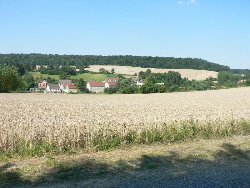 Les Etangs du Moulin — Photo 8