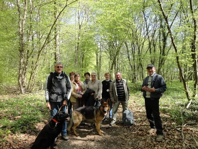 Les Etangs du Moulin