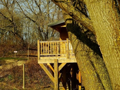Wooden cabin Chasseur