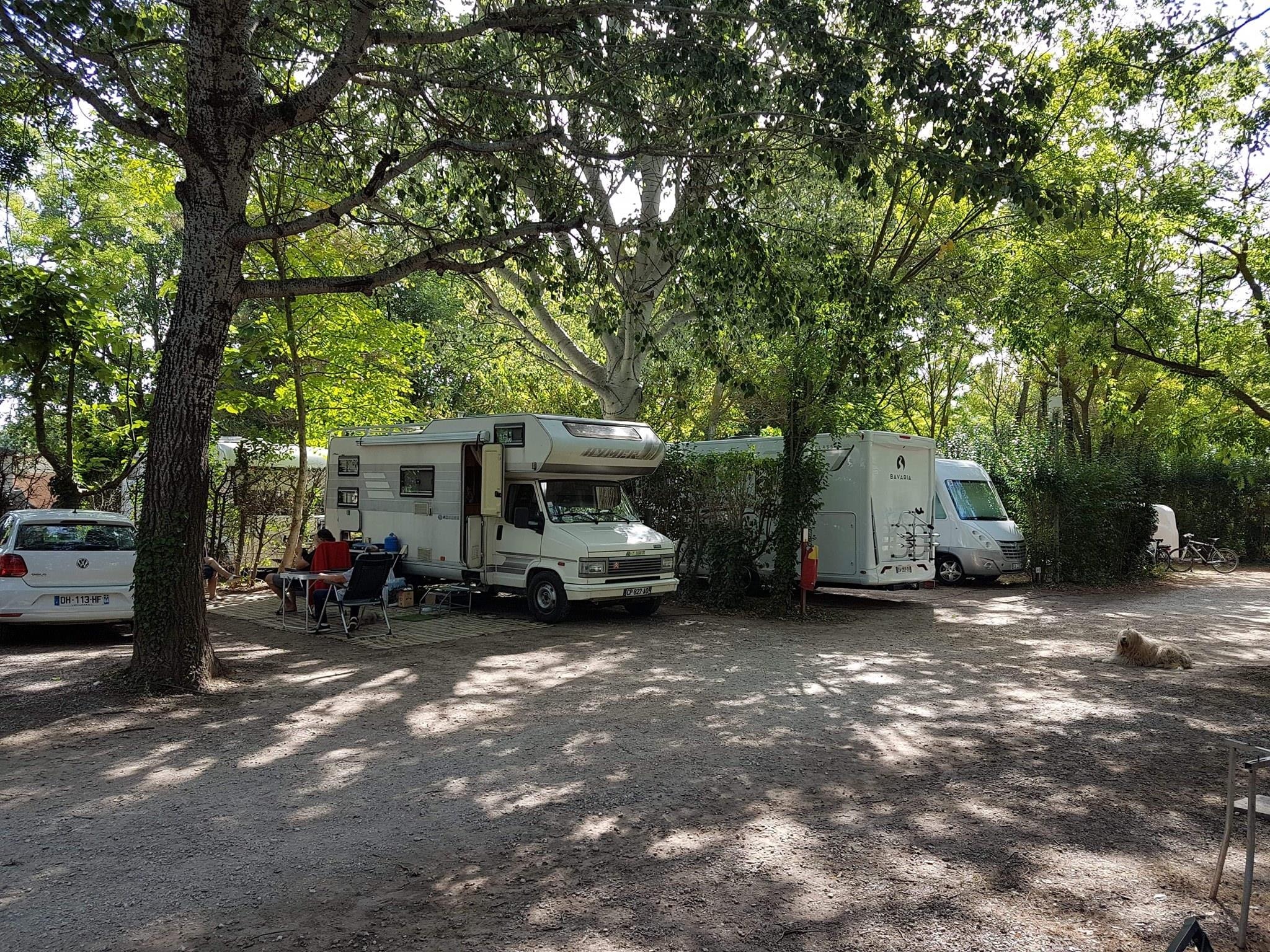 Flower Camping le Pilon d'Agel — Photo 2