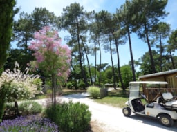 CAMPING LES OURMES - image n°8 - UniversalBooking