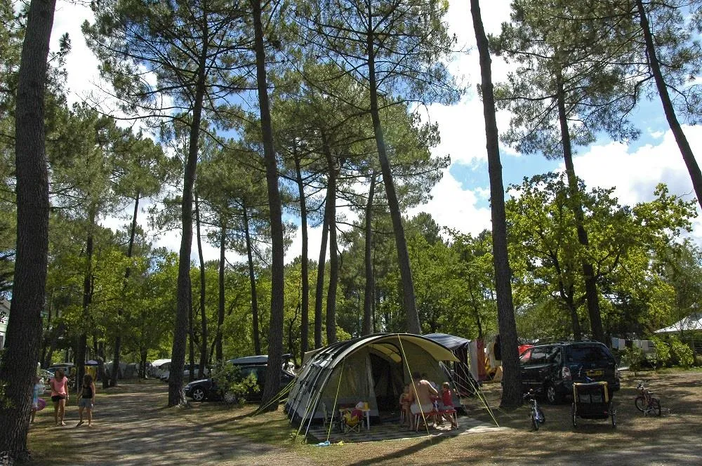 Standplads + 1 Bil + Telt Eller Campingvogn + Elektricitet