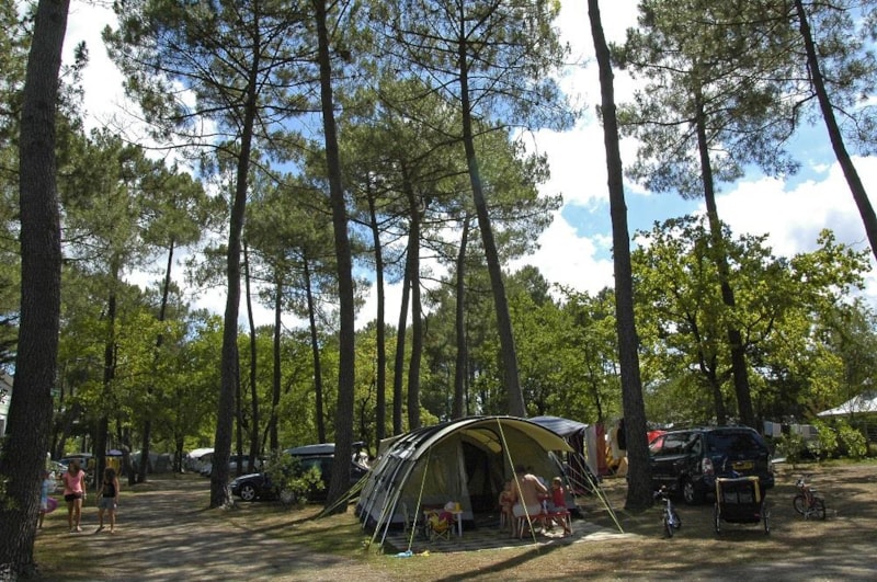 Emplacement = TENTE +1voiture ou CARAVANE + 1 voiture ou VAN (sans vidange) + électricité 10 AMP*
