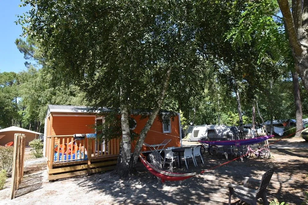 Cottage Confort 31 M² + Tv