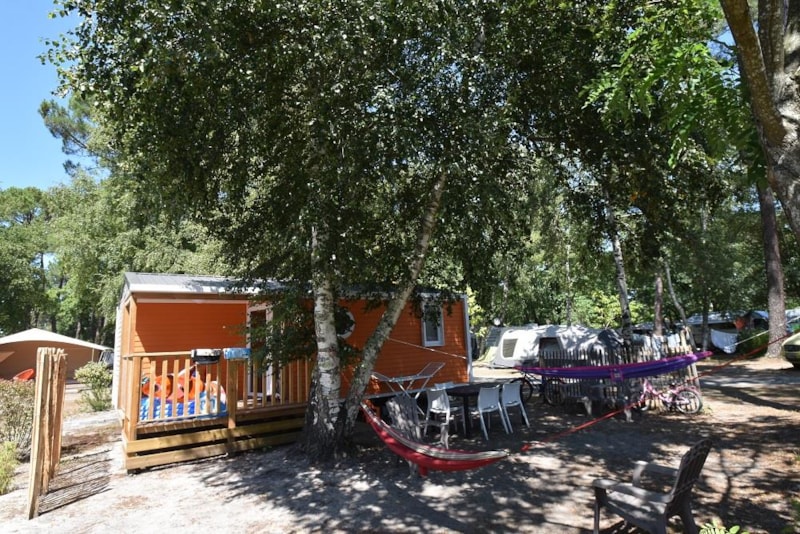 COTTAGE CONFORT 31 m² + TV