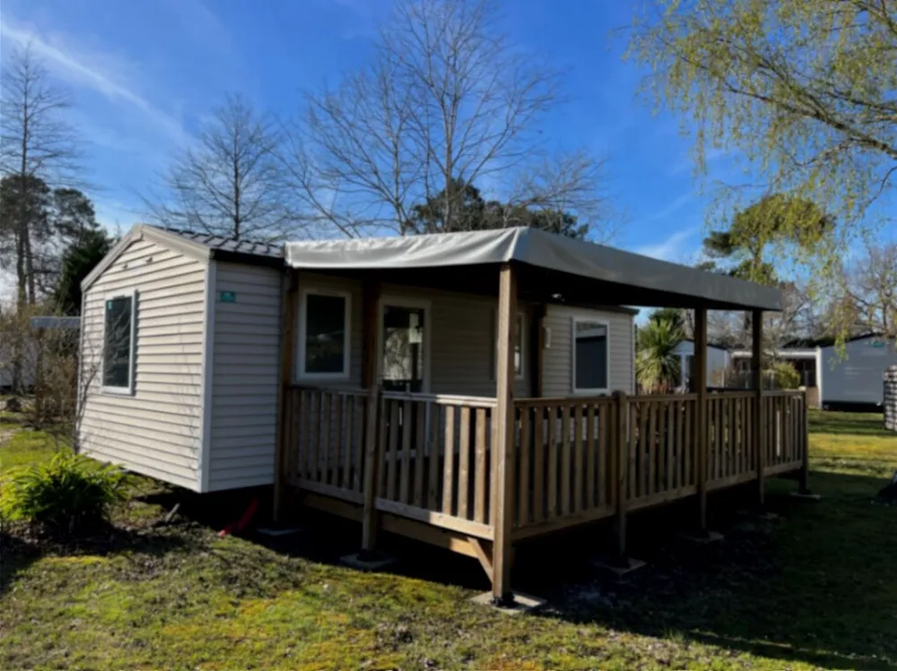 Cottage Confort 31M² + Tv