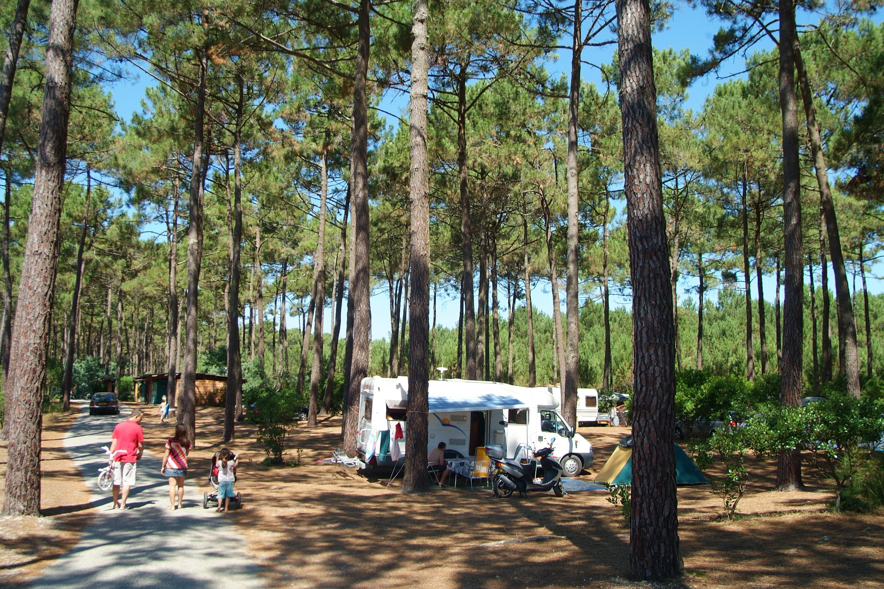 Emplacement - Emplacement Confort Grand Camping-Car - Camping le Tedey