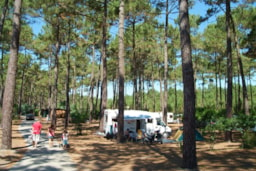 Parcela - Parcela Confort Autocaravana - Camping Le Tedey
