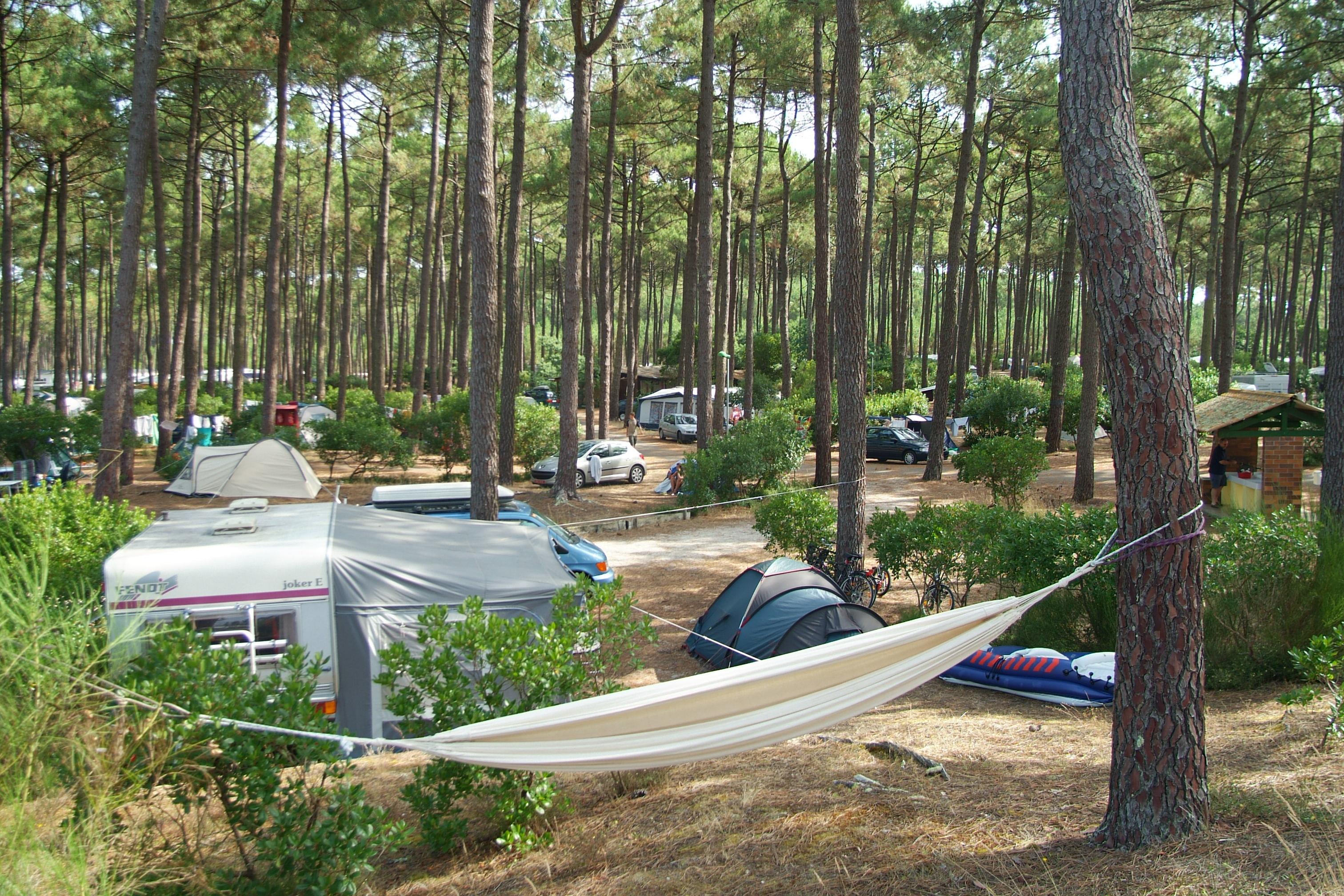 Emplacement - Emplacement Nature - Camping le Tedey