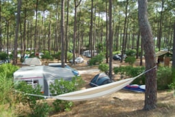 Kampeerplaats(en) - Standplaats Classic - Camping Le Tedey