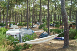 Camping Le Tedey - image n°5 - Roulottes