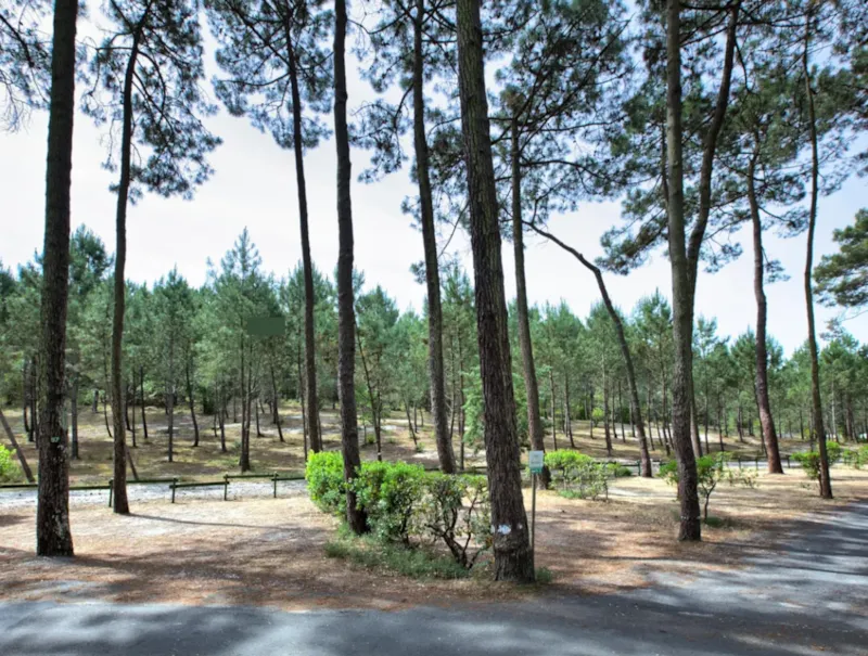 Emplacement Confort - Electricité