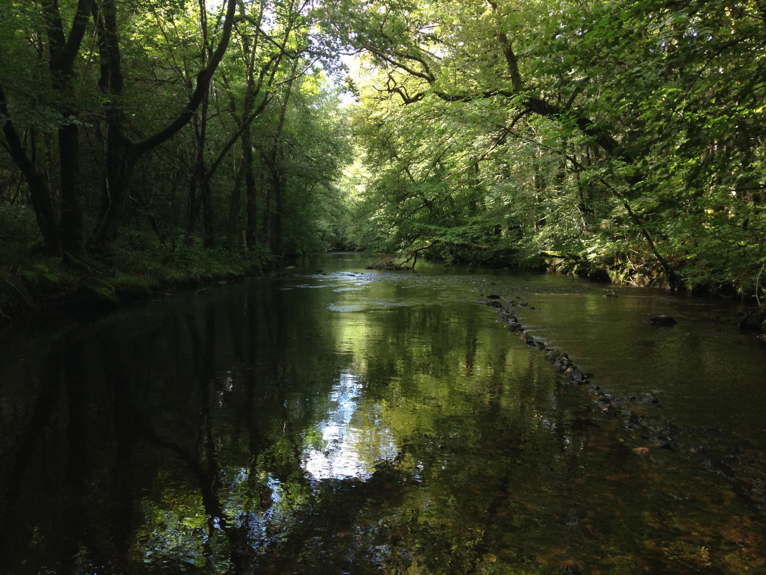 Au Bois de Calais — Photo 8