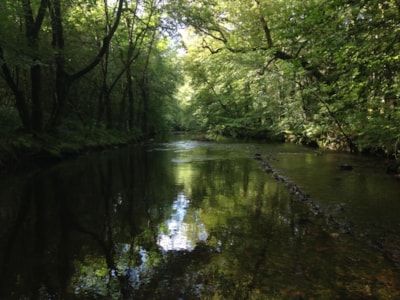 Au Bois de Calais
