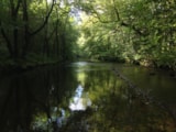 Foto #8 van Au Bois de Calais