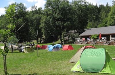 Pitch with car + tent/caravan