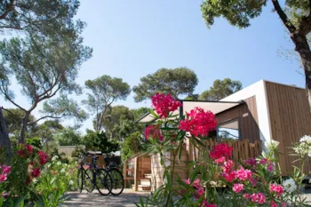 Mietunterkunft - Duobis / 1 Schlafzimmer - Camp du Domaine