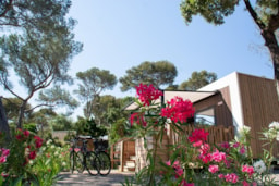 Accommodation - Duobis / 1 Bedroom - Camp du Domaine