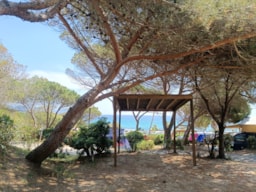 Emplacement - Colline Côté Mer - Camp du Domaine