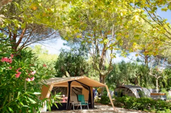 Stellplatz - Platanen - Camp du Domaine
