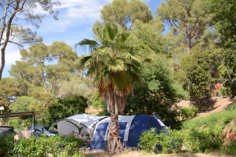 Camp du Domaine - Photo 3