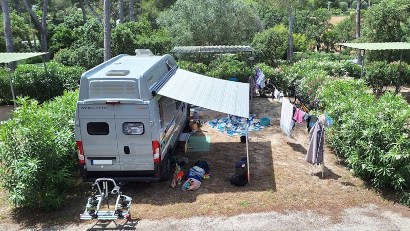 Camp du Domaine photo 2