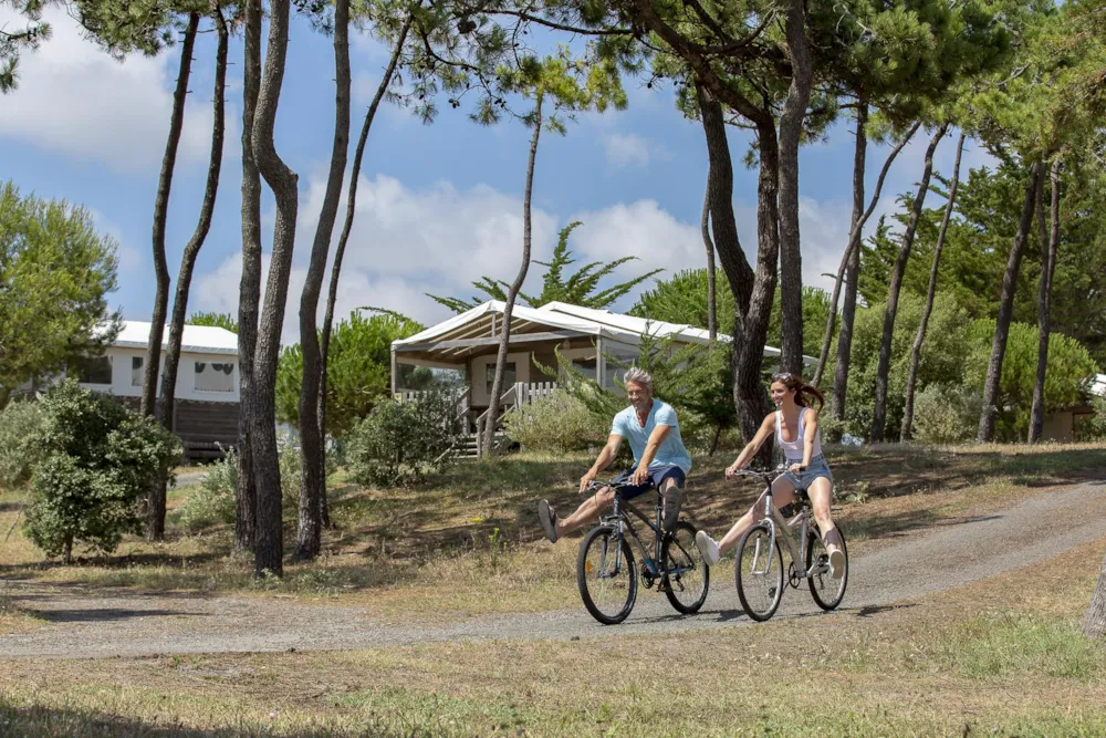 Camping Sandaya Domaine le  Midi