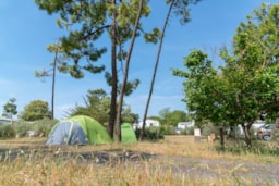 Kampeerplaats(en) - Standplaats ** - Camping Sandaya Domaine le  Midi
