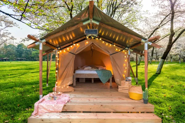 Location - Wood Lodge Junior - Camping Les Parcs