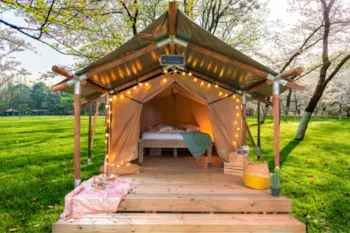 Mietunterkunft - Wood Lodge Junior - Camping Les Parcs