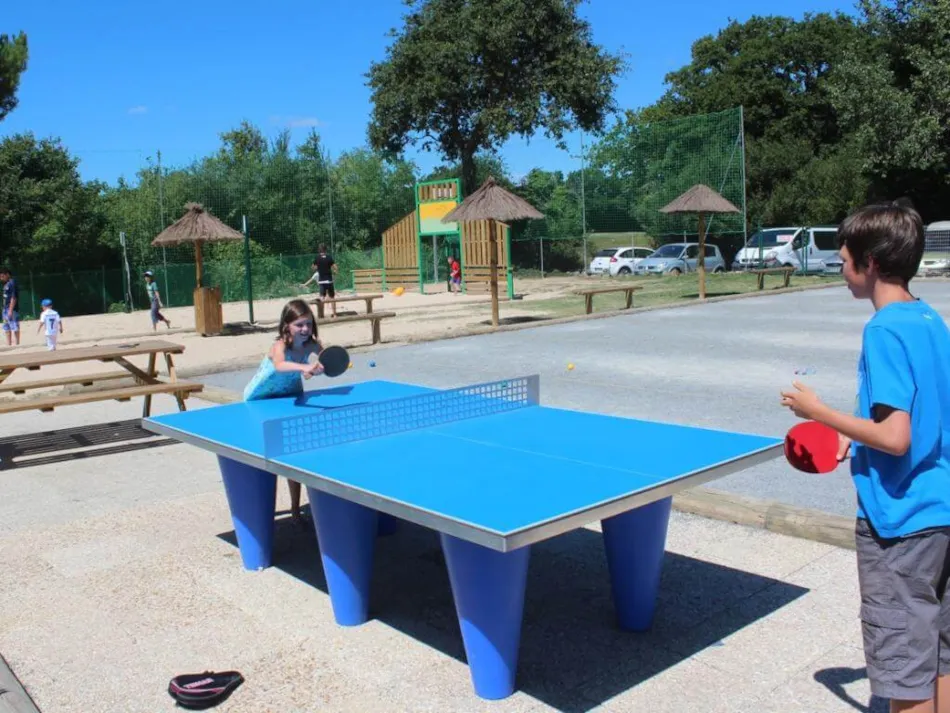 Chadotel La Trévillière