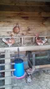 Foto #20 van Camping La Bastide