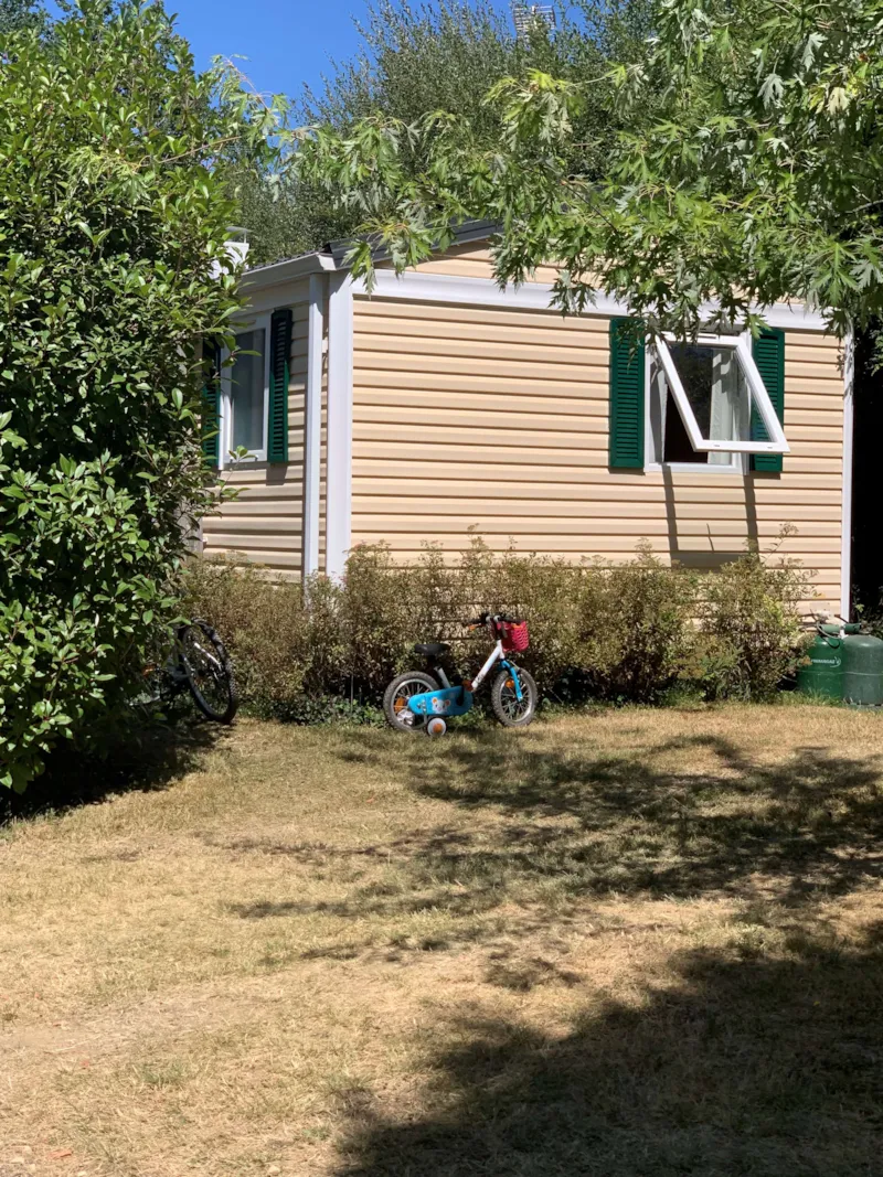 Offre Spéciale Fête De La Châtaigne