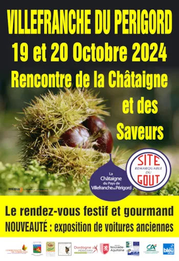 Mietunterkunft - Sonderangebot Für Die Jährliche Kastanienmesse - CAMPING LA BASTIDE