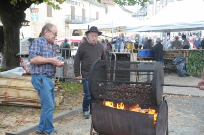 Special offer for the annual Chestnut Fair — 2