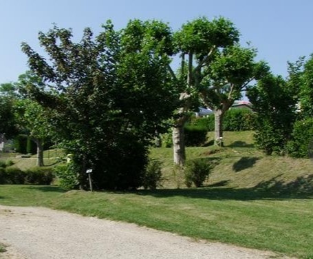 Emplacement en camping 1 personne