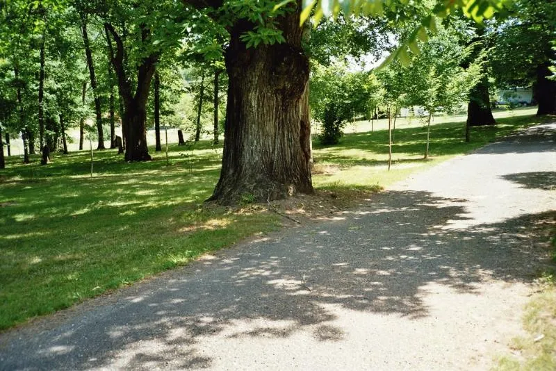Emplacement Avec Ombre Et Soleil À Souhait, À L'écart Des Aires De Jeux Ou Plus Proche, Vos Choix Sont Réspectés Au Mieux, De Même En Ce Qui Concerne La Distance Par Rapport Aux  Sanitaires.