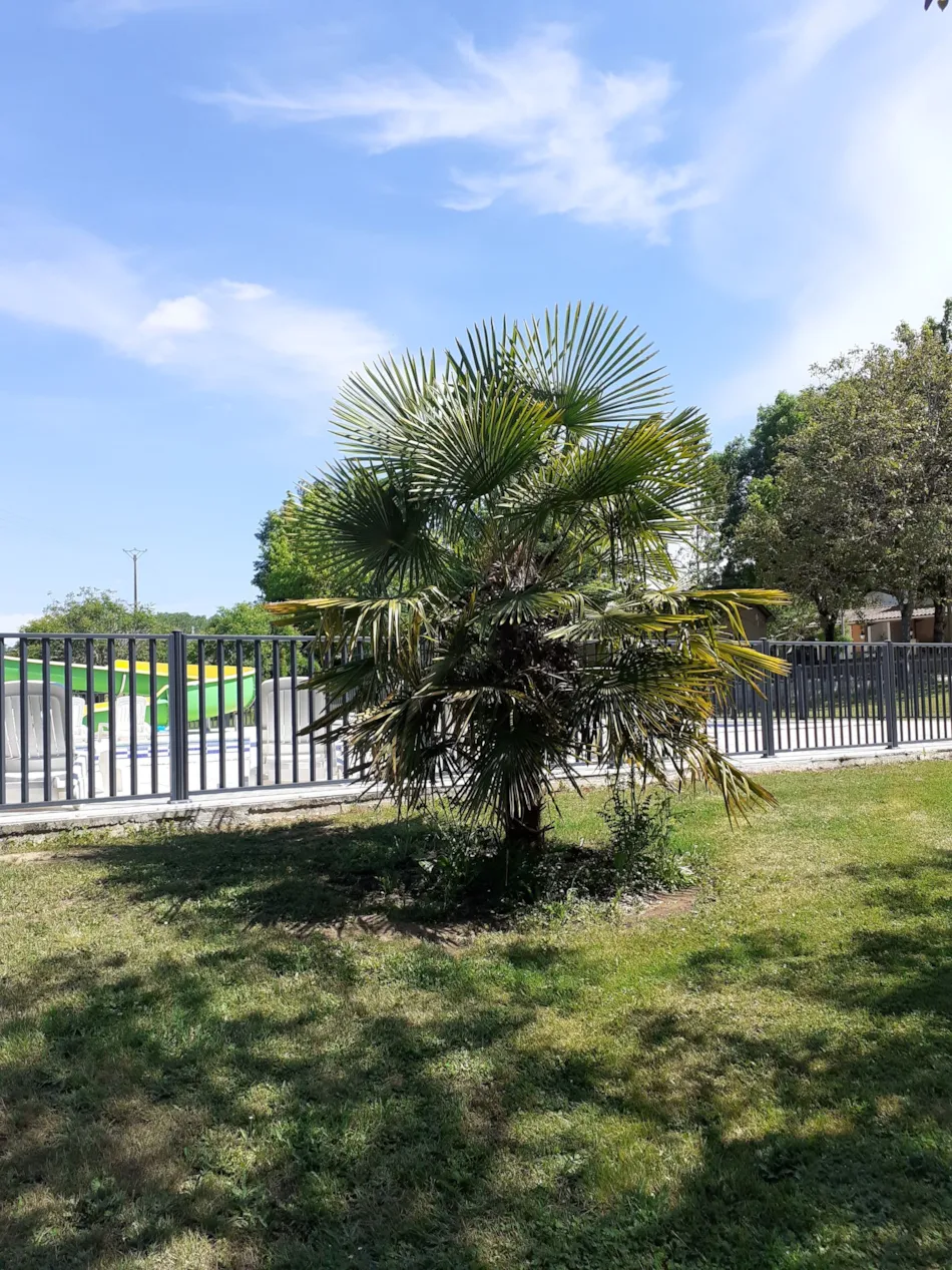 Camping Le Convivial